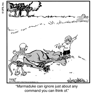 marmaduke